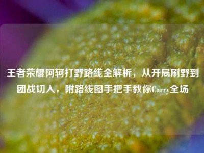 王者荣耀阿轲打野路线全解析，从开局刷野到团战切入，附路线图手把手教你Carry全场