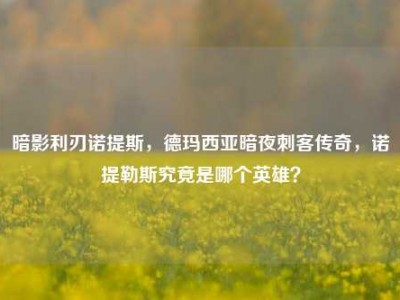 暗影利刃诺提斯，德玛西亚暗夜刺客传奇，诺提勒斯究竟是哪个英雄？