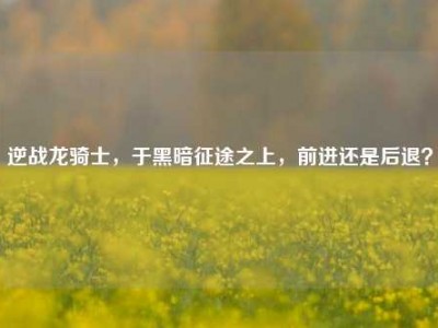 逆战龙骑士，于黑暗征途之上，前进还是后退？