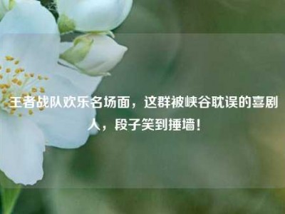 王者战队欢乐名场面，这群被峡谷耽误的喜剧人，段子笑到捶墙！