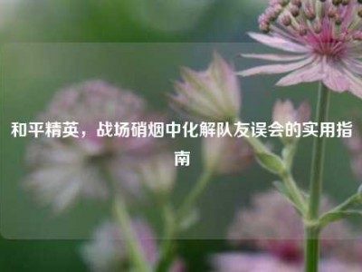 和平精英，战场硝烟中化解队友误会的实用指南