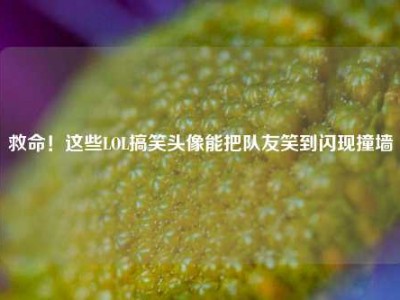 救命！这些LOL搞笑头像能把队友笑到闪现撞墙
