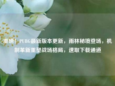重磅！PUBG最新版本更新，雨林秘境登场，机制革新重塑战场格局，速取下载通道