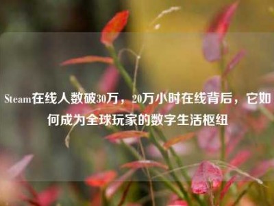 Steam在线人数破30万，20万小时在线背后，它如何成为全球玩家的数字生活枢纽