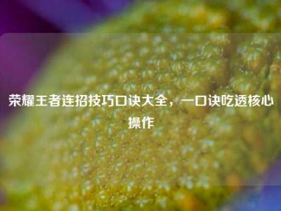 荣耀王者连招技巧口诀大全，一口诀吃透核心操作