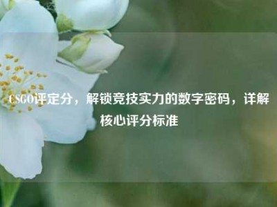 CSGO评定分，解锁竞技实力的数字密码，详解核心评分标准