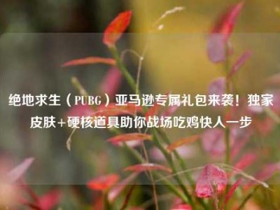 绝地求生（PUBG）亚马逊专属礼包来袭！独家皮肤+硬核道具助你战场吃鸡快人一步