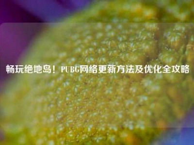 畅玩绝地岛！PUBG网络更新方法及优化全攻略