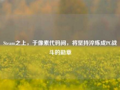 Steam之上，于像素代码间，将坚持淬炼成PC战斗的勋章