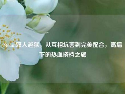 Steam双人越狱，从互相坑害到完美配合，高墙下的热血搭档之旅