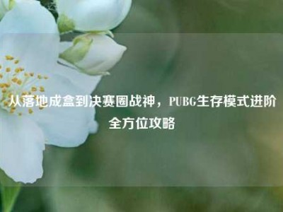 从落地成盒到决赛圈战神，PUBG生存模式进阶全方位攻略