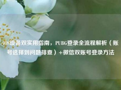 iOS设备双实用指南，PUBG登录全流程解析（账号选择到问题排查）+微信双账号登录方法