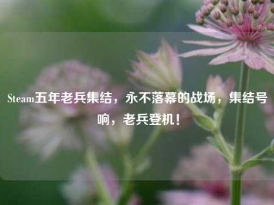 Steam五年老兵集结，永不落幕的战场，集结号响，老兵登机！