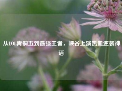 从LOL青铜五到最强王者，峡谷上演热血逆袭神话