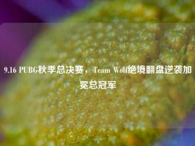 9.16 PUBG秋季总决赛，Team Wolf绝境翻盘逆袭加冕总冠军