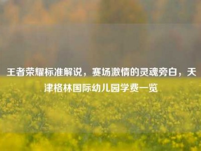 王者荣耀标准解说，赛场激情的灵魂旁白，天津格林国际幼儿园学费一览