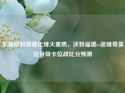 东盎格利亚德比烽火重燃，沃特福德vs诺维奇英冠升级卡位战比分预测