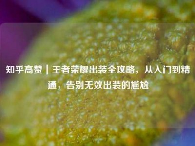 知乎高赞｜王者荣耀出装全攻略，从入门到精通，告别无效出装的尴尬