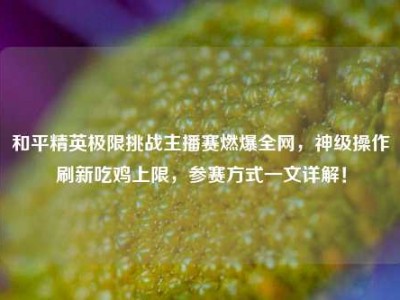 和平精英极限挑战主播赛燃爆全网，神级操作刷新吃鸡上限，参赛方式一文详解！