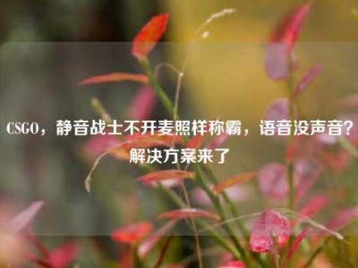 CSGO，静音战士不开麦照样称霸，语音没声音？解决方案来了