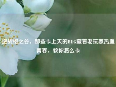 逆战樱之谷，那些卡上天的BUG藏着老玩家热血青春，教你怎么卡