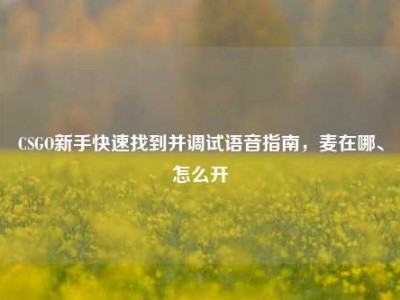 CSGO新手快速找到并调试语音指南，麦在哪、怎么开