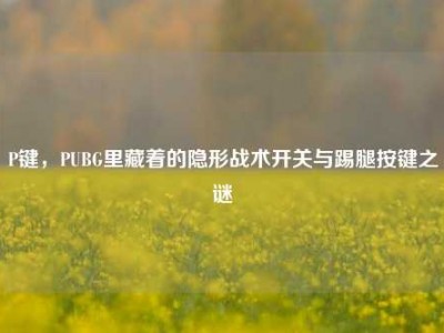 P键，PUBG里藏着的隐形战术开关与踢腿按键之谜