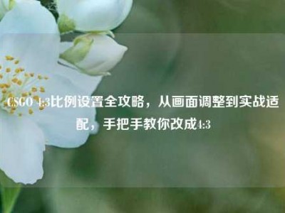 CSGO 4:3比例设置全攻略，从画面调整到实战适配，手把手教你改成4:3