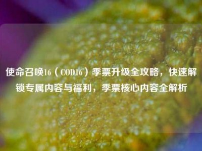 使命召唤16（COD16）季票升级全攻略，快速解锁专属内容与福利，季票核心内容全解析