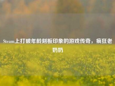 Steam上打破年龄刻板印象的游戏传奇，疯狂老奶奶