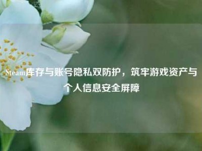 Steam库存与账号隐私双防护，筑牢游戏资产与个人信息安全屏障