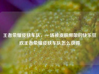 王者荣耀皮肤车队，一场被皮肤绑架的快乐狂欢王者荣耀皮肤车队怎么获得