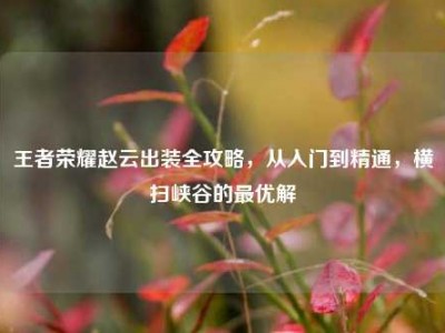 王者荣耀赵云出装全攻略，从入门到精通，横扫峡谷的最优解