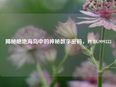 揭秘绝地海岛中的神秘数字密码，PUBG999333