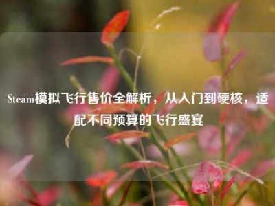 Steam模拟飞行售价全解析，从入门到硬核，适配不同预算的飞行盛宴