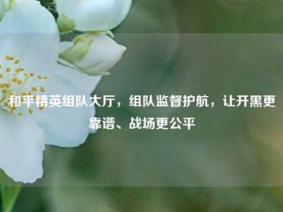 和平精英组队大厅，组队监督护航，让开黑更靠谱、战场更公平
