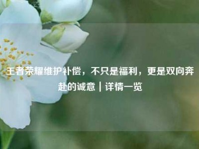 王者荣耀维护补偿，不只是福利，更是双向奔赴的诚意｜详情一览