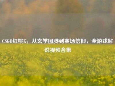 CSGO红桃K，从玄学图腾到赛场信仰，全游戏解说视频合集