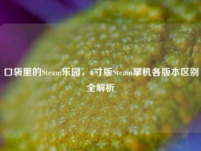 口袋里的Steam乐园，6寸版Steam掌机各版本区别全解析