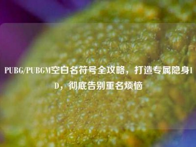 PUBG/PUBGM空白名符号全攻略，打造专属隐身ID，彻底告别重名烦恼