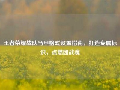 王者荣耀战队马甲格式设置指南，打造专属标识，点燃团战魂