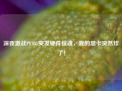 深夜激战PUBG突发硬件惊魂，我的显卡突然炸了！