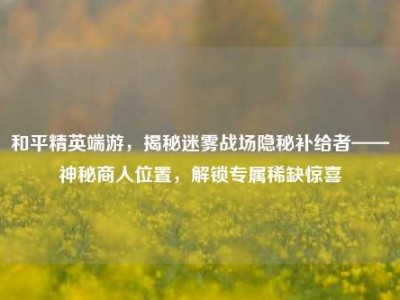 和平精英端游，揭秘迷雾战场隐秘补给者——神秘商人位置，解锁专属稀缺惊喜