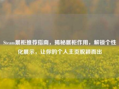 Steam展柜推荐指南，揭秘展柜作用，解锁个性化展示，让你的个人主页脱颖而出
