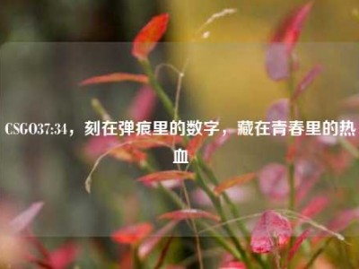 CSGO37:34，刻在弹痕里的数字，藏在青春里的热血