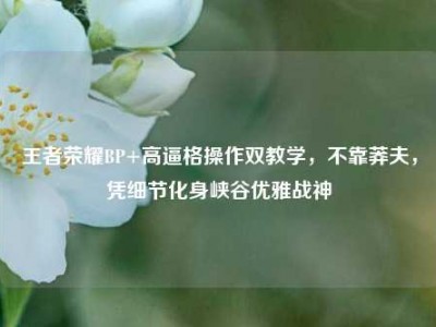 王者荣耀BP+高逼格操作双教学，不靠莽夫，凭细节化身峡谷优雅战神