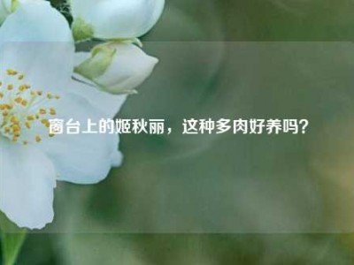 窗台上的姬秋丽，这种多肉好养吗？