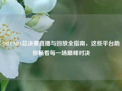 2024 NBA总决赛直播与回放全指南，这些平台助你畅看每一场巅峰对决