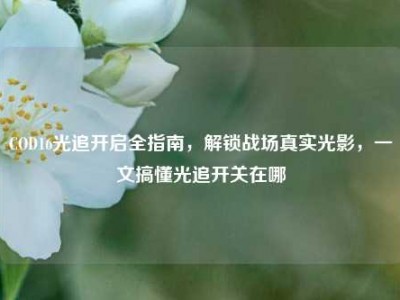 COD16光追开启全指南，解锁战场真实光影，一文搞懂光追开关在哪