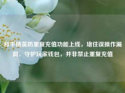和平精英防重复充值功能上线，堵住误操作漏洞，守护玩家钱包，并非禁止重复充值